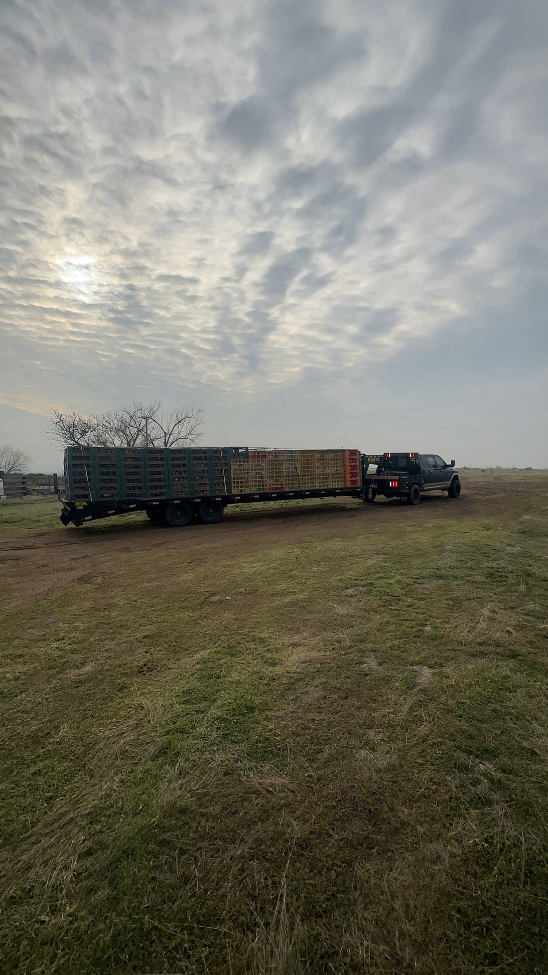 We're Backkkk (2026)