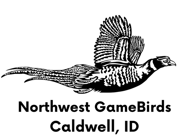 NorthWest GameBirds 